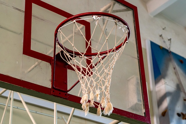 Rezervační systémy pro sportoviště udržují pořádek a zabraňují chaosu